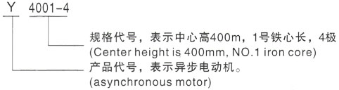 西安泰富西瑪Y係列(H355-1000)高壓三相異步電機型號說明